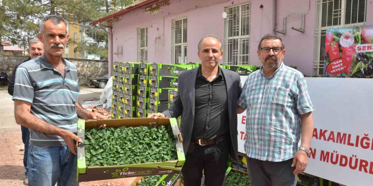 Depremzede Üreticilere 206 Bin Sebze Fidesi Dağıtıldı