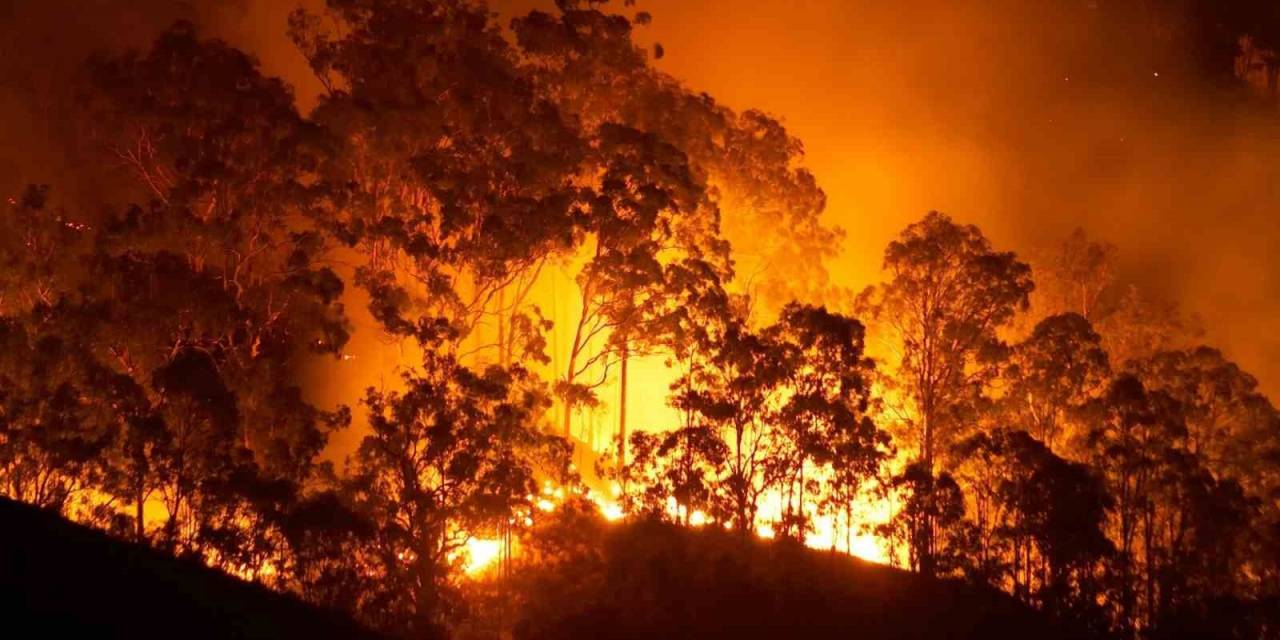 Orman Fakültesinden Yangın Uyarısı: “sıkıntılı Dönemler Bizi Bekliyor”