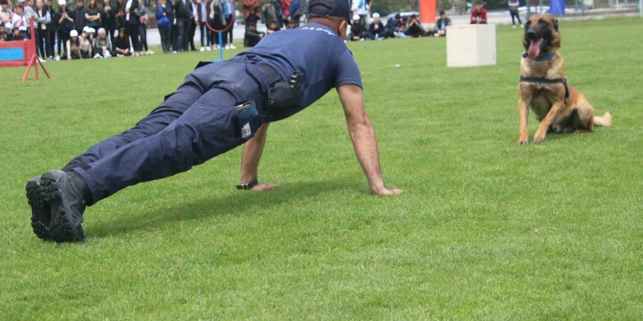 Tüm Matematik Sorularını Cevaplayan Jandarma Köpeği ’rüzgar’ İzleyenleri Hayran Bıraktı