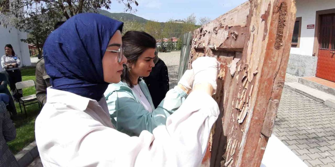 Geleceğin Restorasyon Teknikerleri Burada Yetişiyor