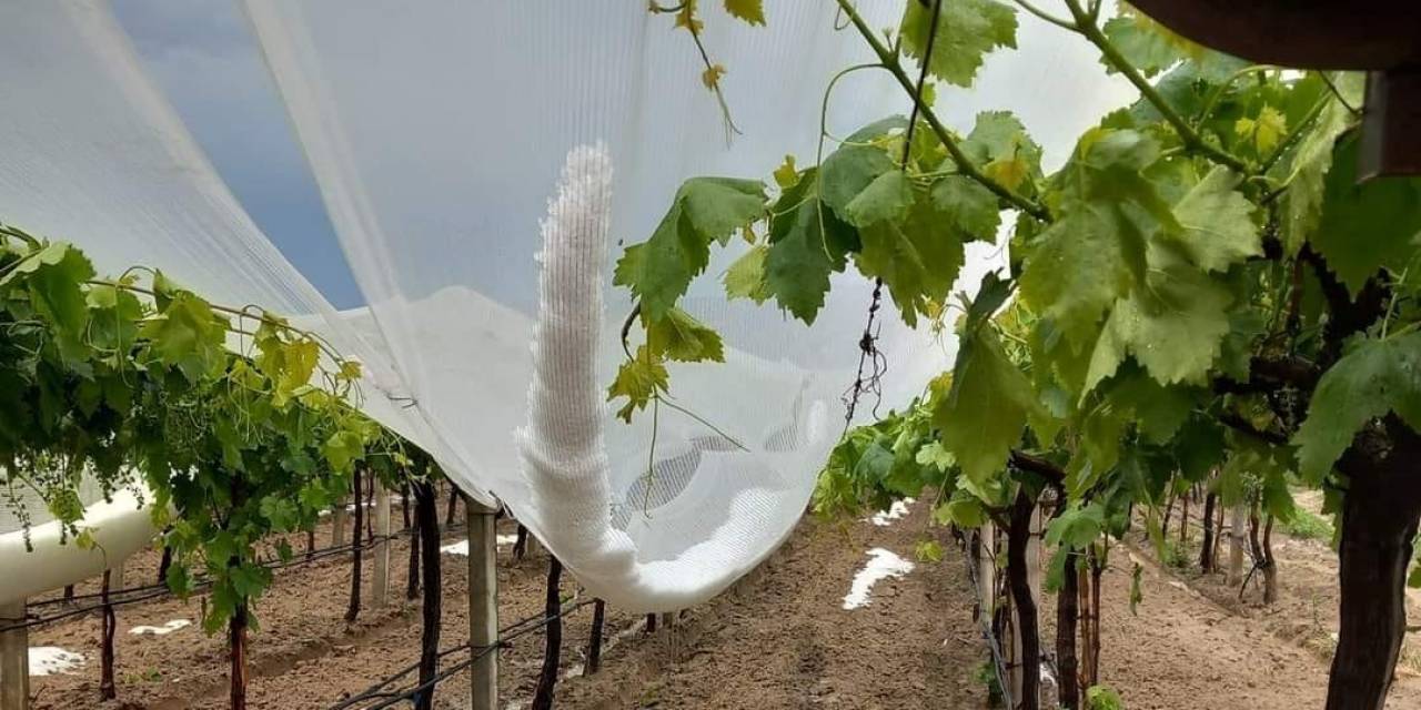 Doluya Karşı Önlemler Artırılıyor