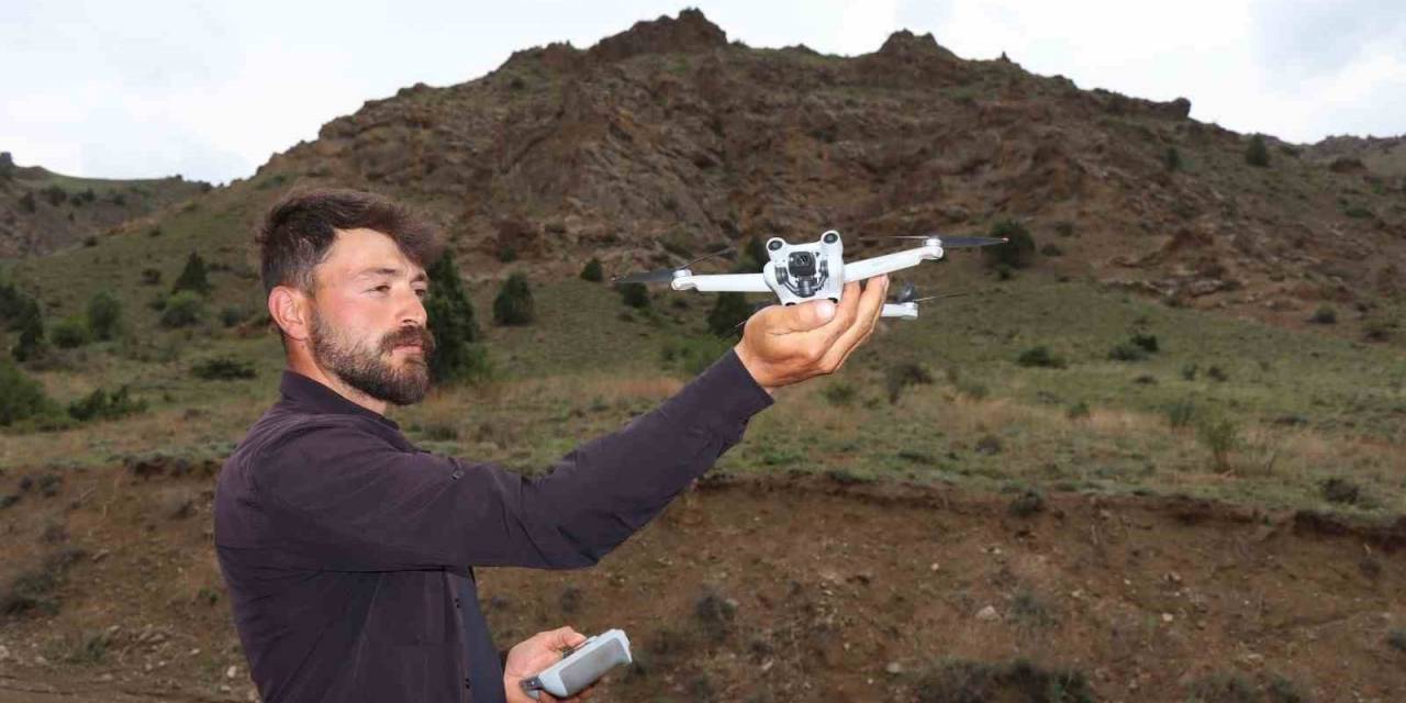 Ayıların Kavgasını Görüntüledi