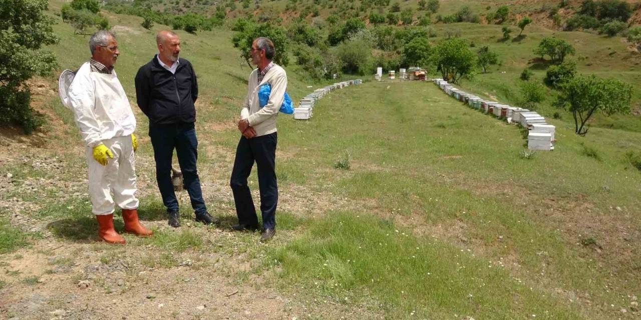 Elazığ Arı Yetiştiricileri Birliği Başkanı Canbay: “ekolojik Dengede En Önemli Unsur Arıdır”