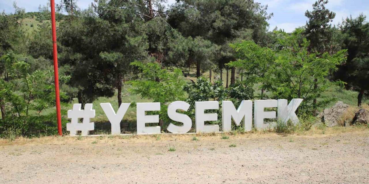 Dünyanın En Büyük Açık Hava Müzesi Deprem Sonrası Ziyaretçilerini Bekliyor