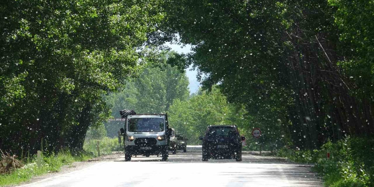 Doğal Güzelliyle Mest Eden Yol, Sürücüler İçin Tehlike Saçıyor