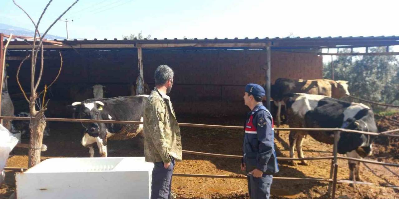 Jandarma, Çiftçileri Bilgilendirdi