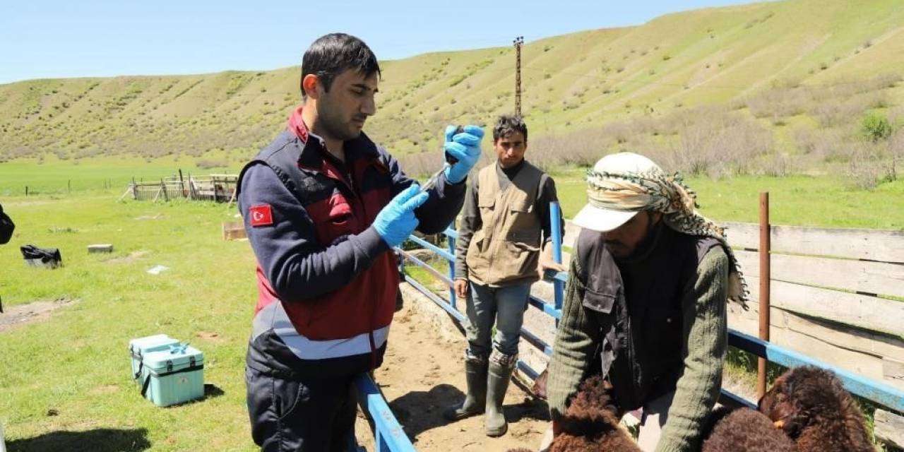 15 Bine Yakın Aşı Yapıldı