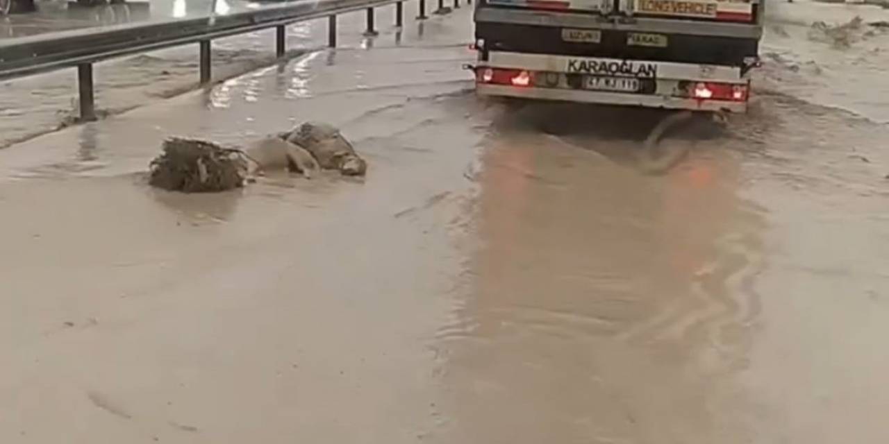 Niğde’de Etkili Olan Dolu Tarım Arazilerini Vurdu
