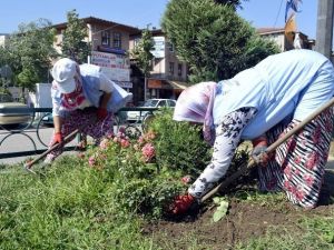 Sonbahar Çiçekleri Ekilen Refüjler Kenelere Karşı İlaçlanıyor