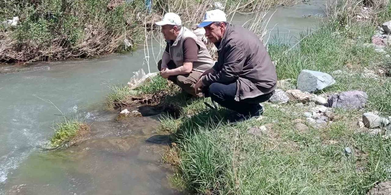 Elazığ’da Hazar İnci Ve Siraz Balığı İzleme  Çalışması Yapıldı