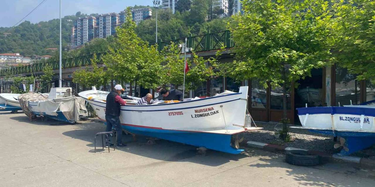 Zonguldaklı Balıkçılar Dip Balıkçılığından Umutlu