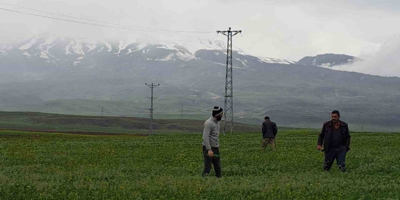 Mayıs Ayında Kar Yağdı, Vatandaş Yeniden Soba Kurdu