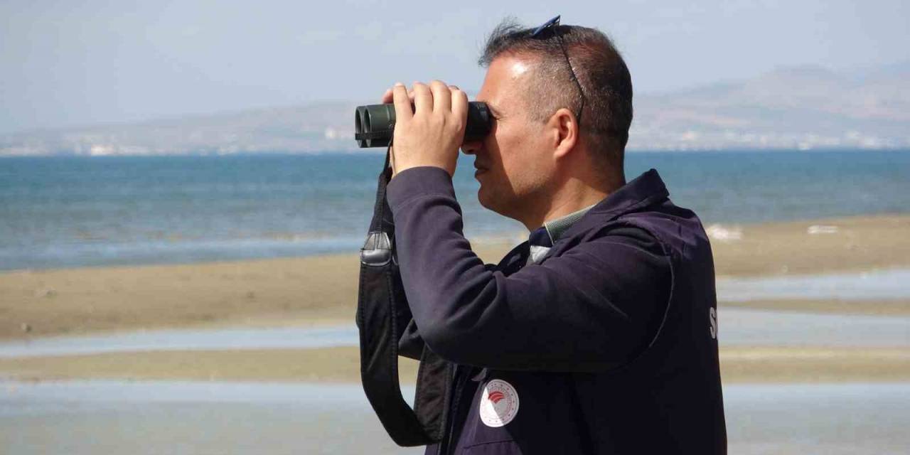 İnci Kefali Avcılarına Göz Açtırılmıyor