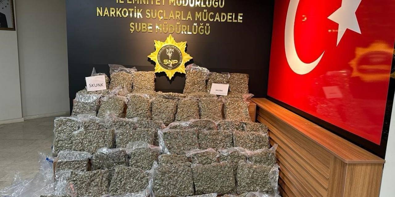Şanlıurfa’da 50 Kilogram Skunk Ele Geçirildi