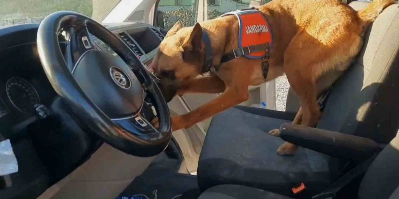 Narkotik Köpeği ’yalman’ Vites Kutusundaki Uyuşturucuyu Buldu