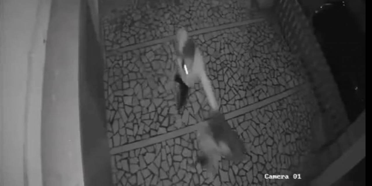Tartıştığı Genç Kızı Önce Tokatladı, Sonra Saçından Tutarak İttirdi