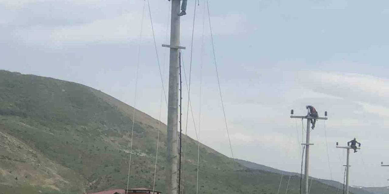 Vedaş’tan Yeni Yatırımlar