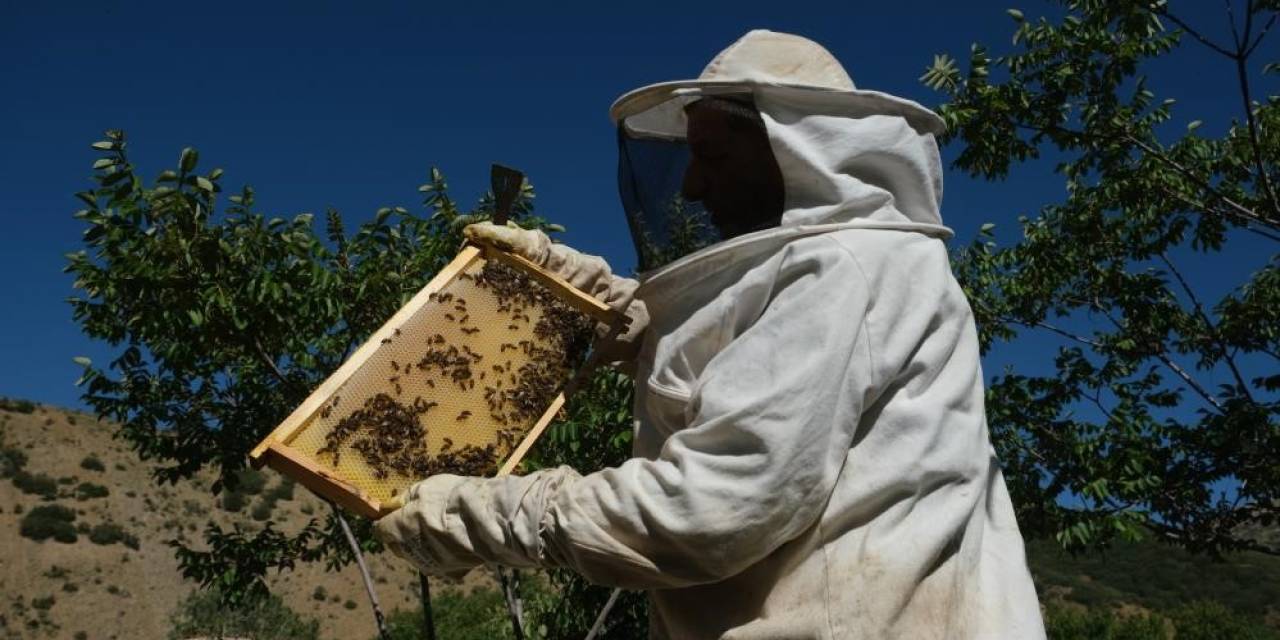 Çayırlı’da Arıcılara Devlet Desteği