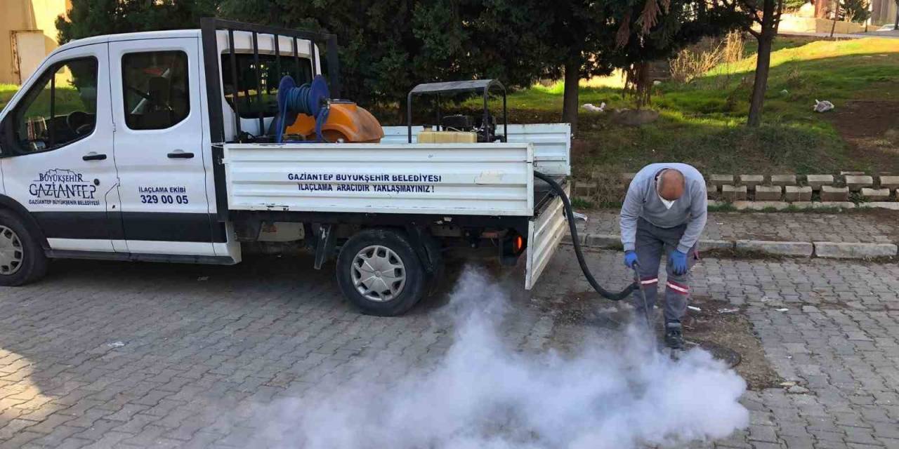 Gaziantep’te Haşere İle Mücadele