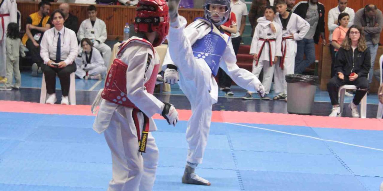 Tekvando Yıldızlar Grup Yarışmaları Ordu’da Başladı