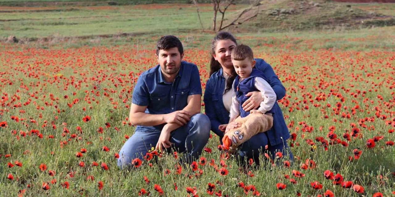 Oltu’da Gelincik Şöleni