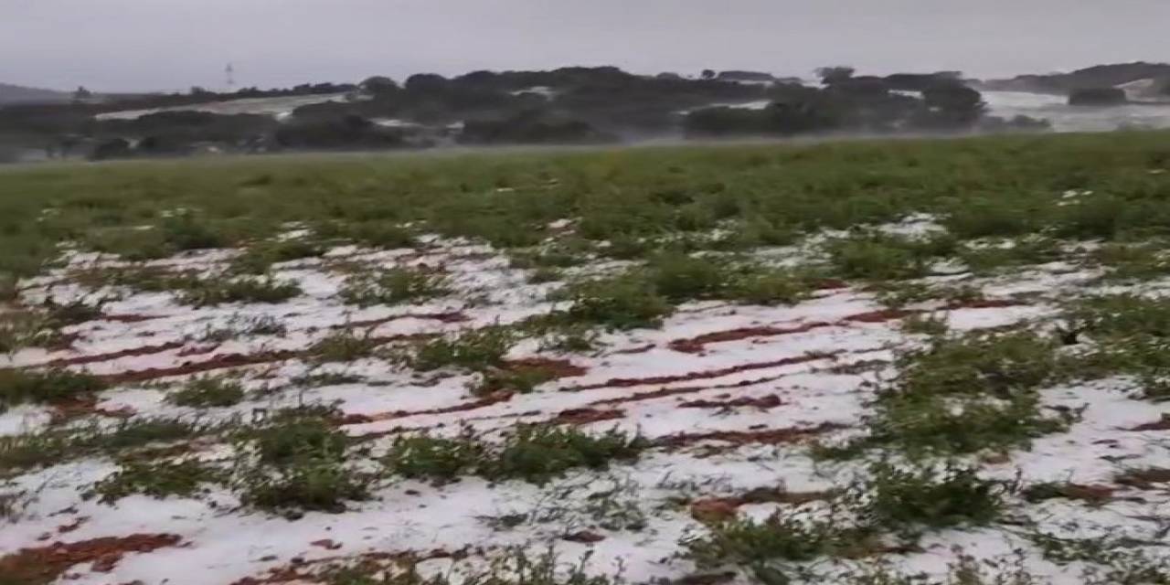 Dolu Yağışı Üzüm Bağlarını Vurdu