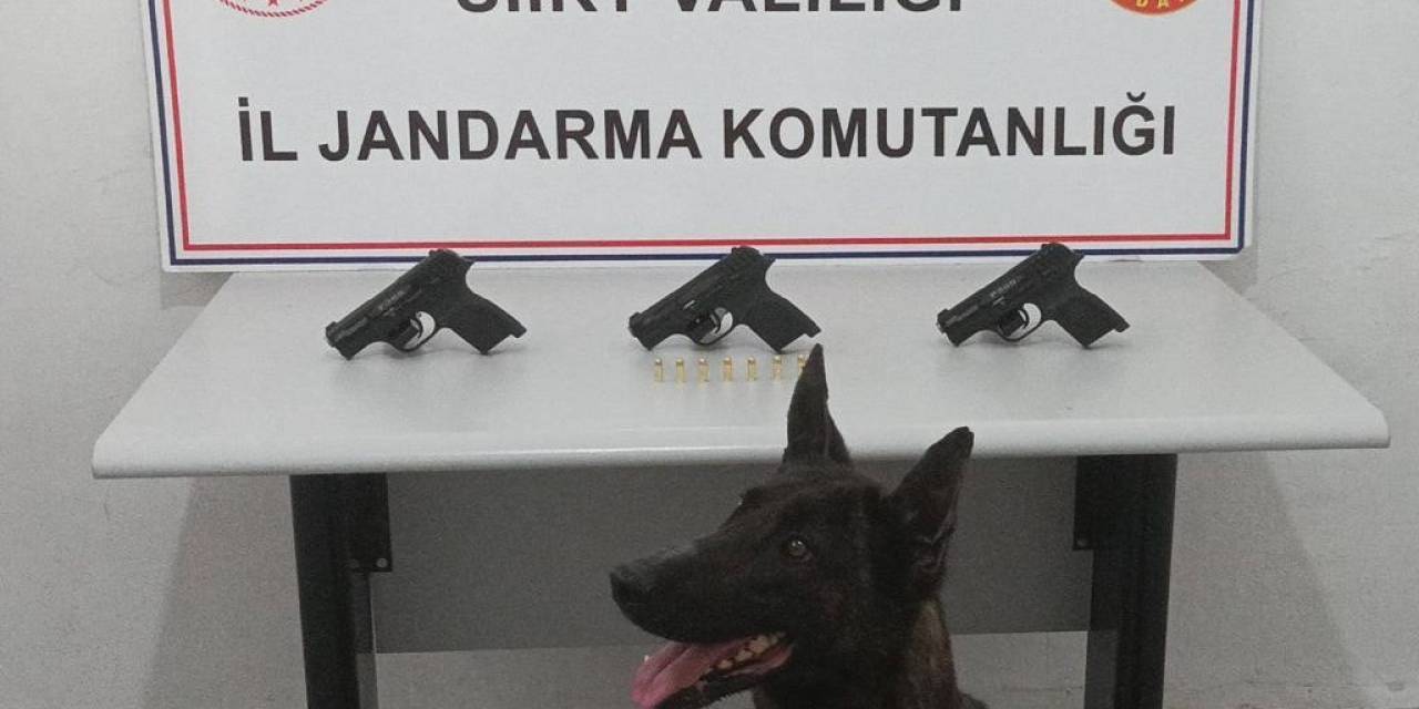 Siirt’te Silah Ve Mühimmat Kaçakçılığı Yapan Şahıs Yakalandı