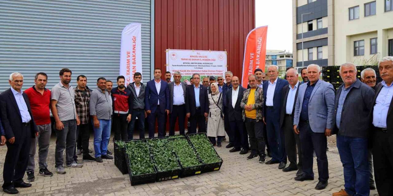 Bingöl’de Yüzde 75 Hibe İle 630 Bin Sebze Fidesi Dağıtıldı