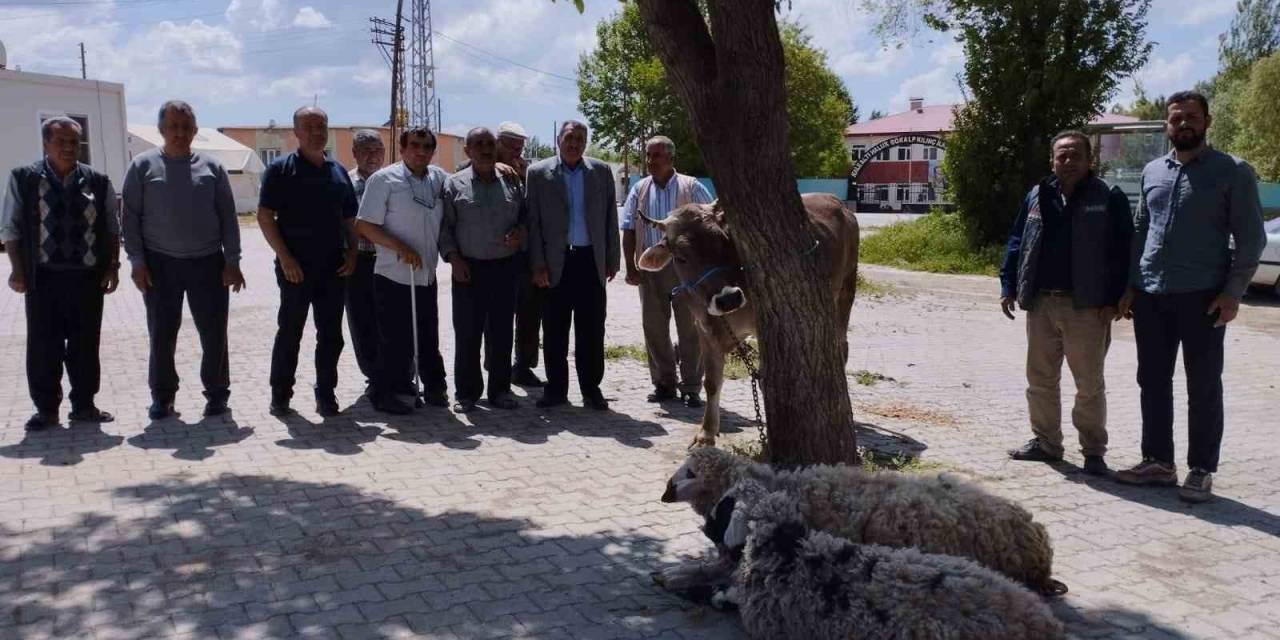 Afetlerin Son Bulması Ve Bereket İçin Kurban Kestiler