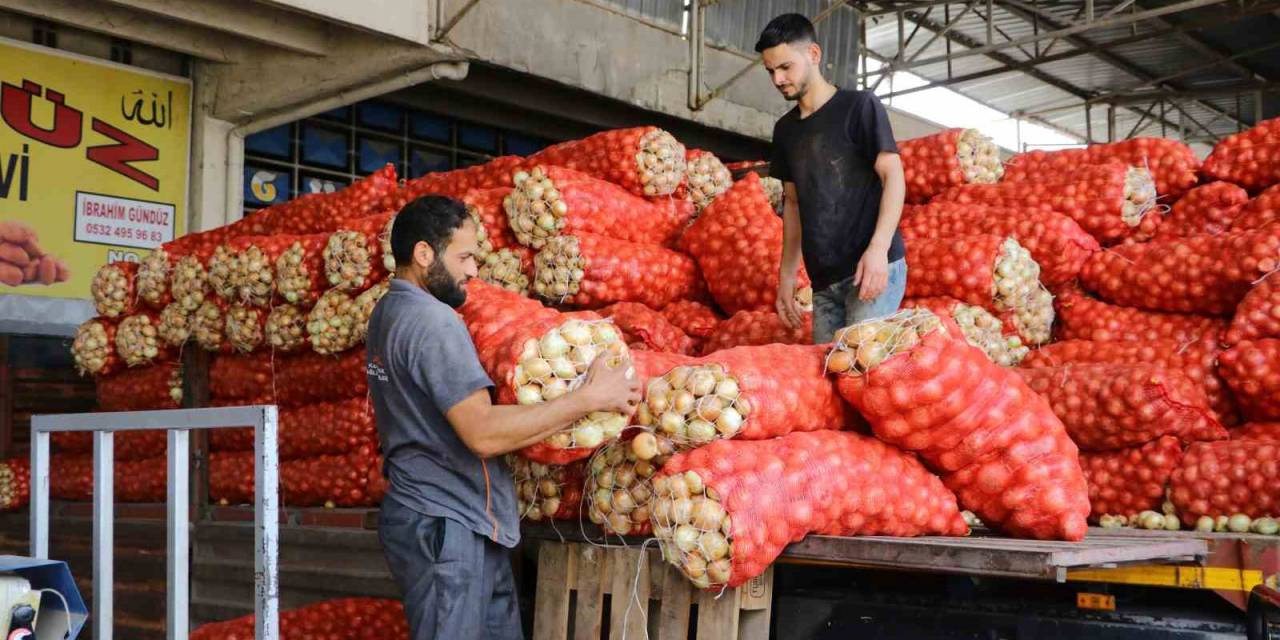 Soğan Fiyatları Gündemden Düşecek