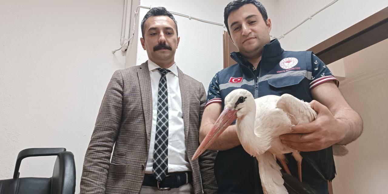 Yaralı Halde Bulunan Leylek Tedavi Altına Alındı