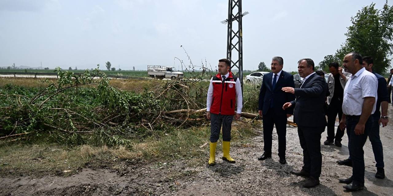 Ağaçların Devrildiği, Hortumun Vurduğu Sakarcalık’ta Yaralar Sarılıyor