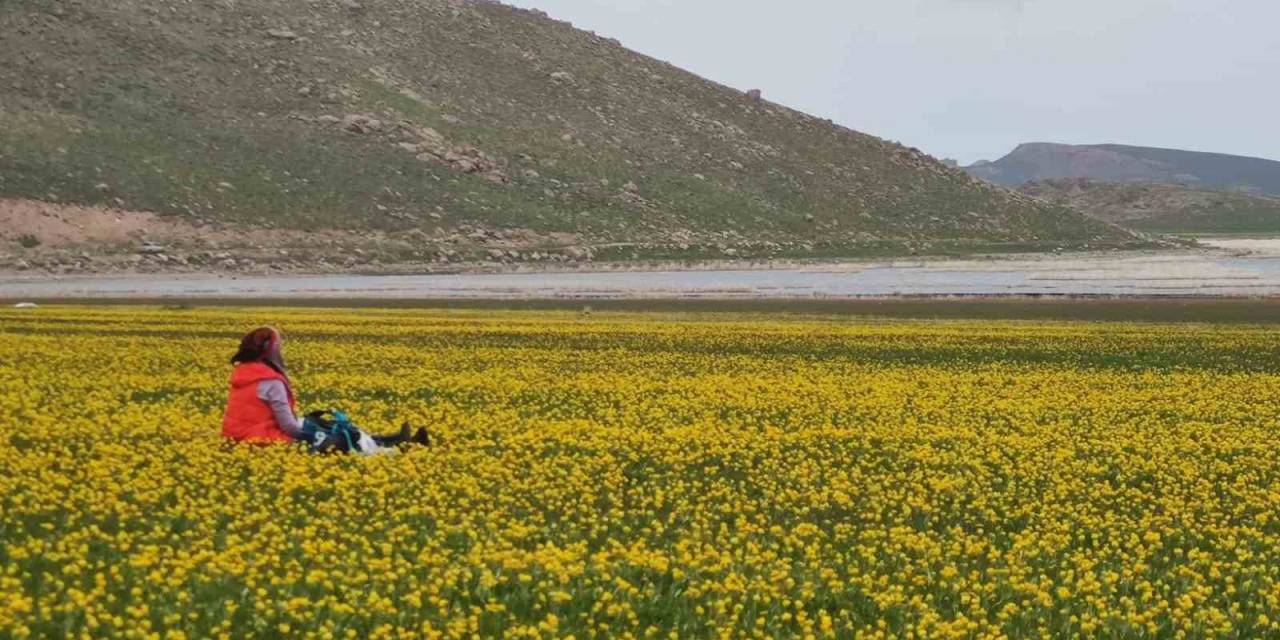 Turna Gölü Doğaseverleri Mest Etti