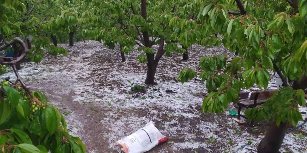 Suluova’da Sağanak Ve Dolu 4 Köyde Arazileri Vurdu