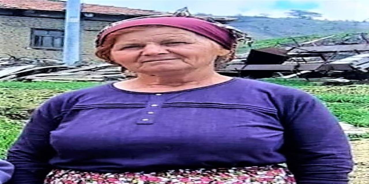 Üzüm Bağında Av Tüfeğiyle Öldürülen Kadının Komşusu Tutuklandı