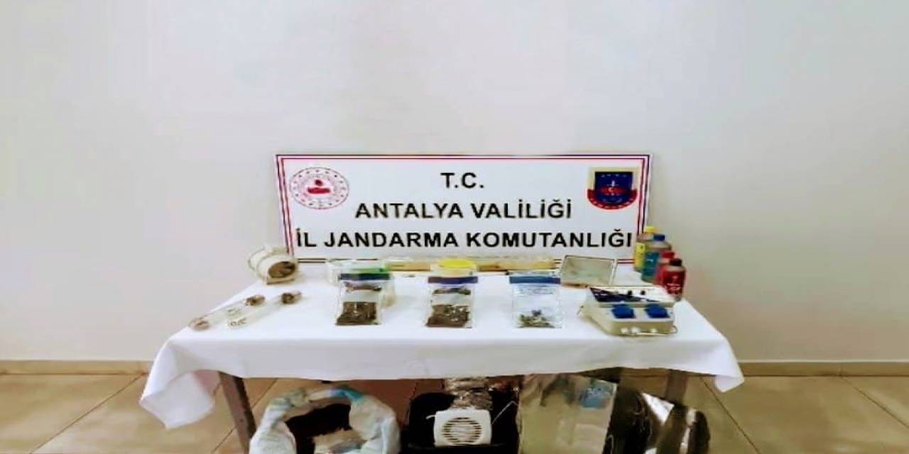 Evinde Uyuşturucu Üretti, İş Yerinde Satamadan Jandarmaya Yakalandı