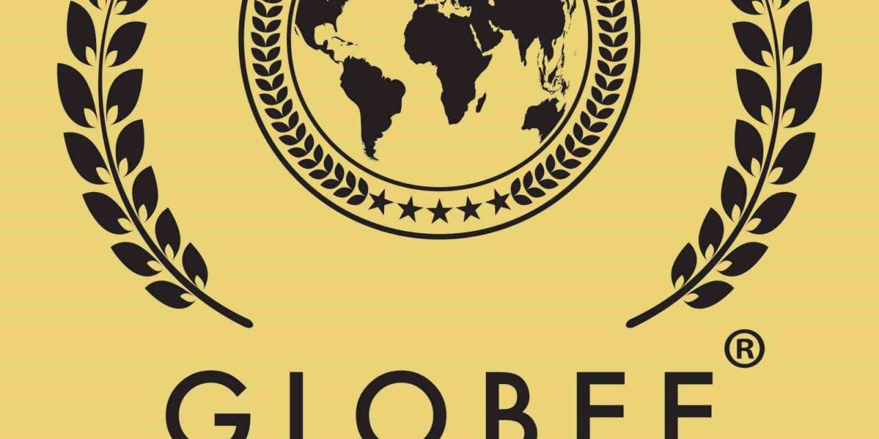 Globee Awards’tan Vestel’e 1 Altın Ve 1 Gümüş Ödül