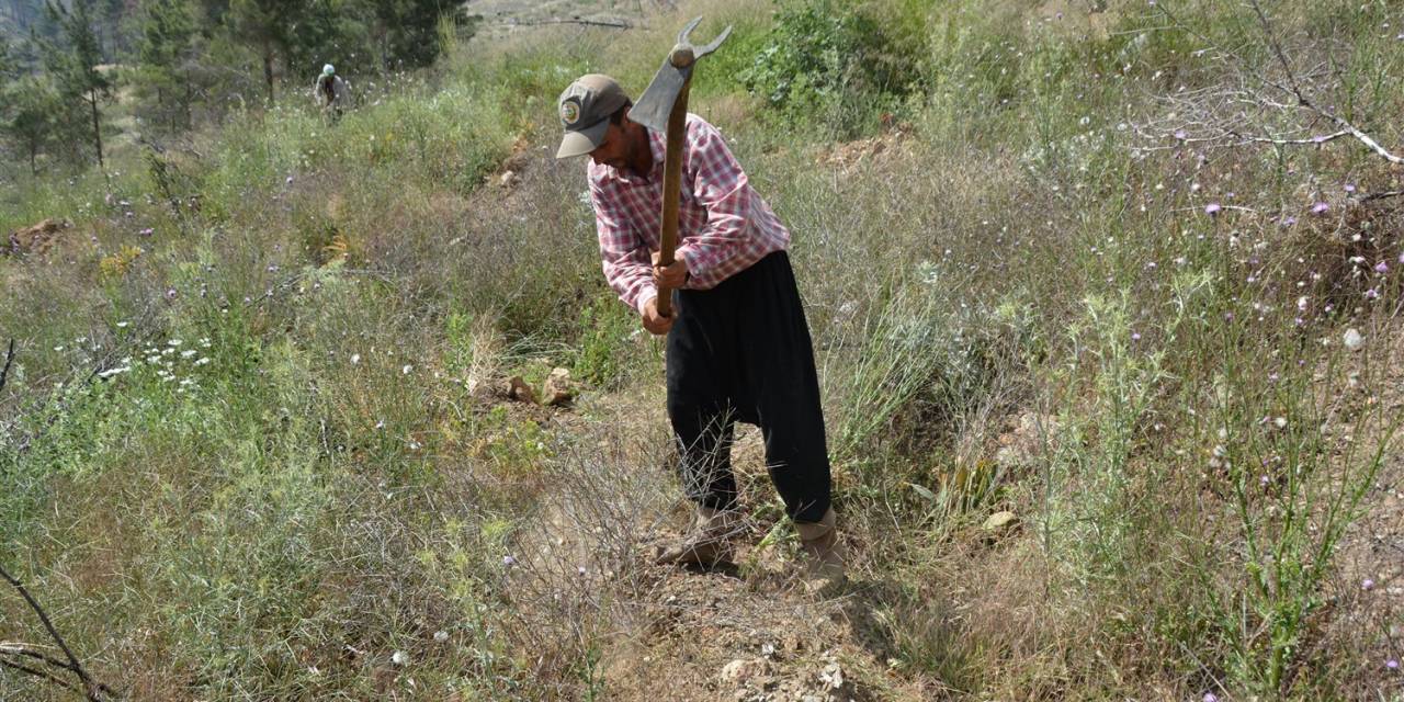 Mersin’de Yanan Orman Sahalarında Bakım Çalışmaları Tamamlandı