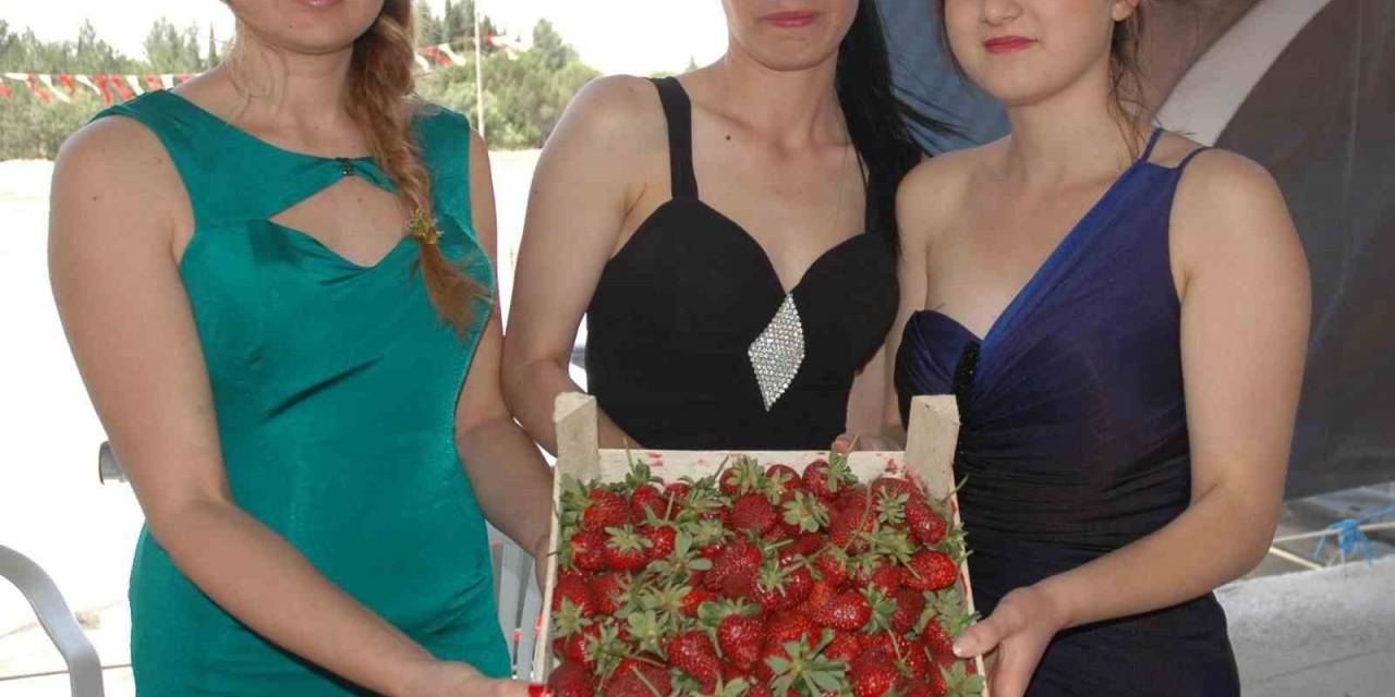 Sivaslı’da 35. Çilek Ve Kültür Festivali İçin Geri Sayım Başladı