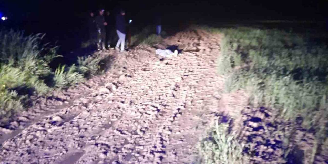 Yaylada Üzerlerine Yıldırım Düştü: 1 Ölü, 1 Yaralı
