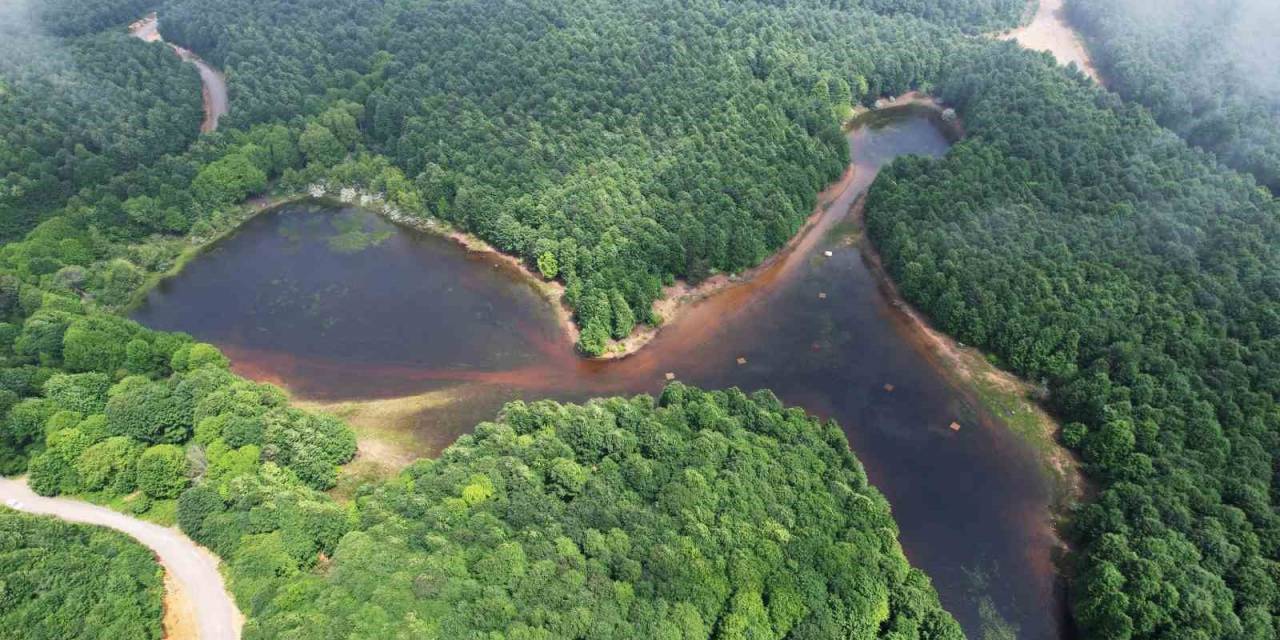 Karlık Yaylası’nda Doğa Görsel Şölen Sunuyor
