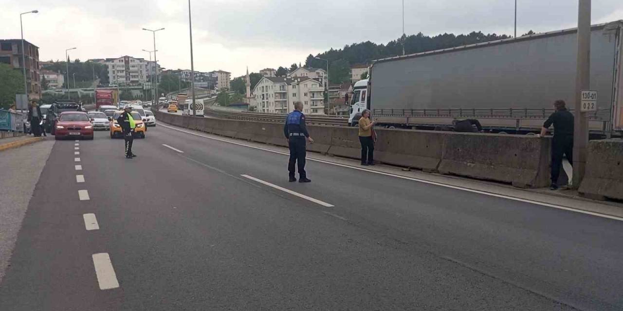 Beton Bariyerlere Sıkışan Kedi İçin Trafiği Durdurdular: "helal Olsun Size"