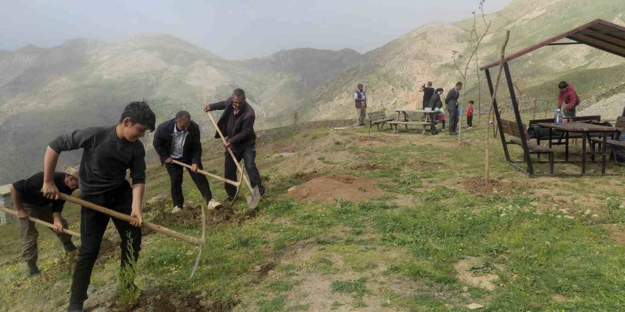 Batman’da Terörden Arındırılan Yaylalar Meyve Fidanlarıyla Donatıldı