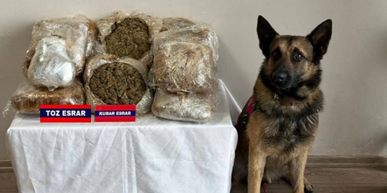 Bolu’da 17 Kilo Esrar Ele Geçirildi