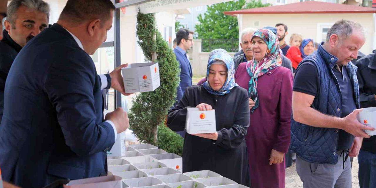 Kastamonu’da Vatandaşlara Ücretsiz Ata Tohumu Fidesi Dağıtılacak
