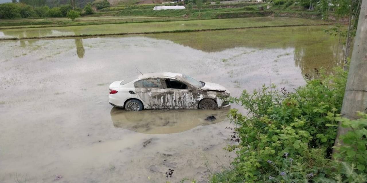 Sinop’ta Otomobil Çeltik Tarlasına Uçtu: 1 Yaralı