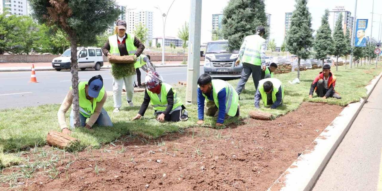 Diyarbakır’da Kavşak Ve Refüjlerde Peyzaj Çalışmaları Devam Ediyor