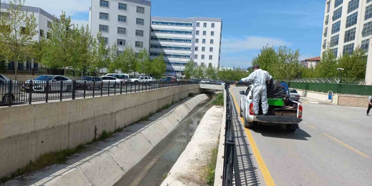 Belediye Ekiplerinin Vektörel Çalışmaları Sürüyor