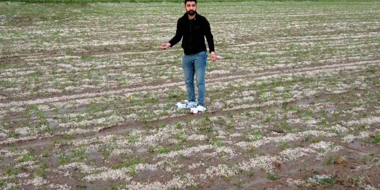 Yozgat’ta Dolu Tarım Arazilerine Zarar Verdi