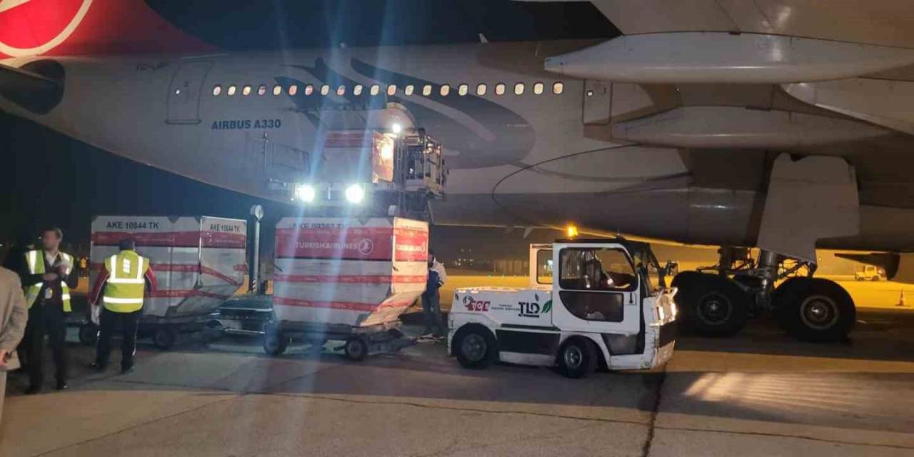 Yurt Dışı Oylarının Tümü Ankara’ya Getirildi